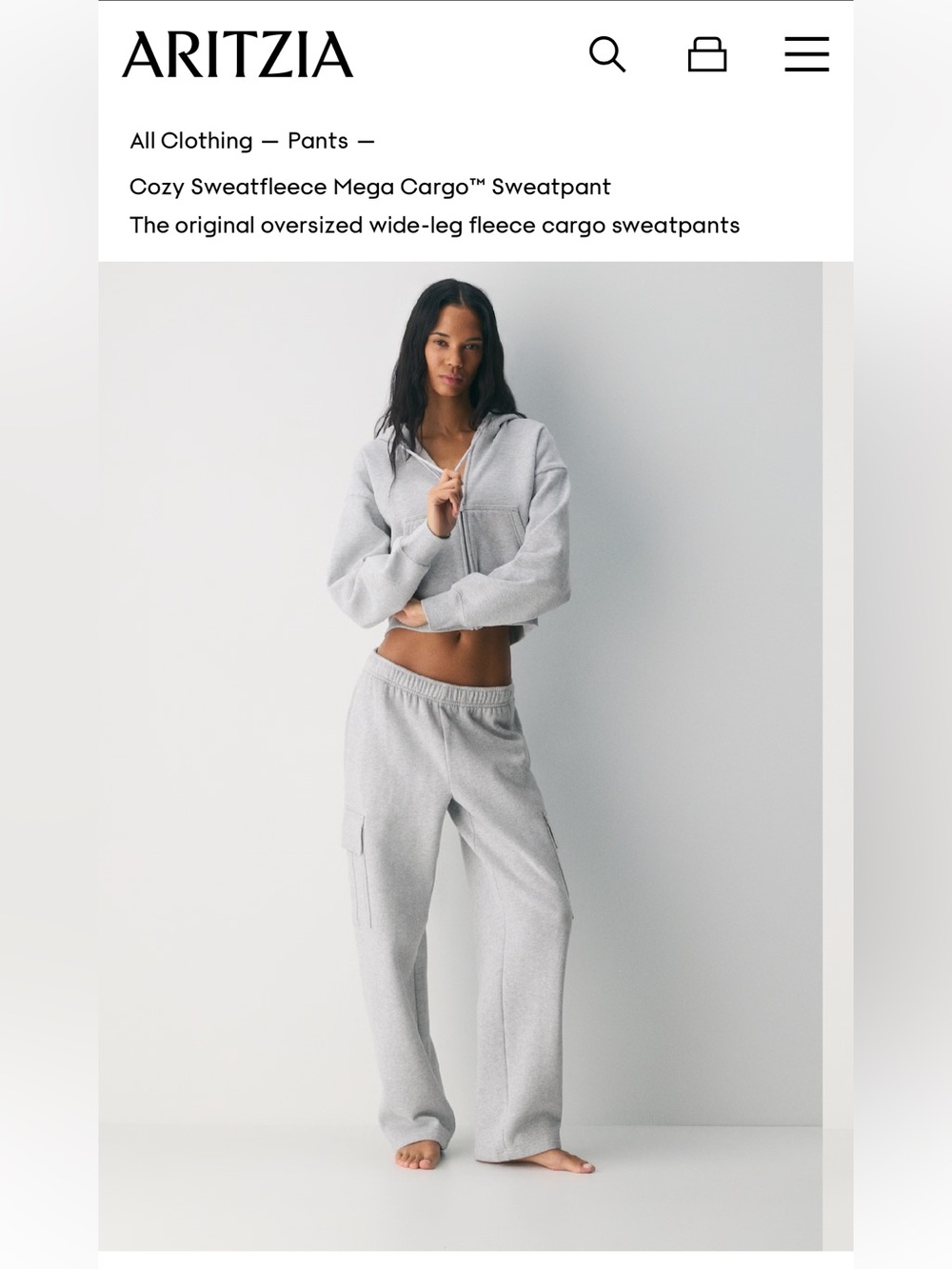 Aritzia Wide-Leg Cargo Sweatpant in Light Gray